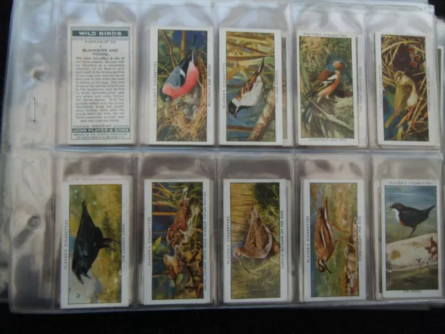 One Complete Set  Cigarette Cards Players Wild Birds