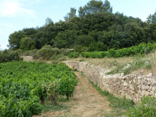 Terrain A Vendre