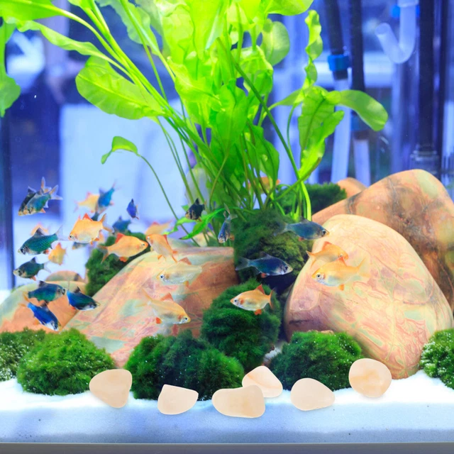 25 Pezzi Dipingere I Ciottoli, Sassi Da Dipingere, Pietre Piatte Per La Pittura, Pietre Di