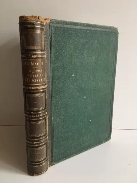 Emm. LE MAOUT histoire naturelle des OISEAUX 3 règnes de la nature Curmer 1853