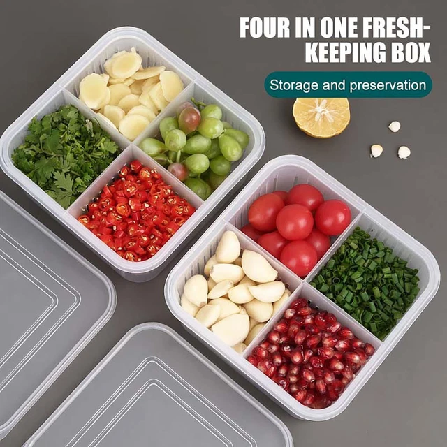 Contenitore Porta Salumi Fresh System, 25x17x3.2 Cm, Blu, Impilabile, Con Vassoio, Per Frigo E Microonde