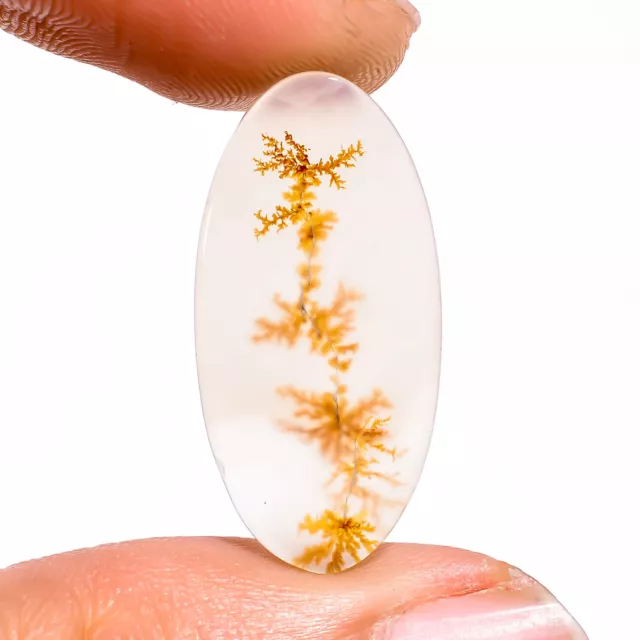 08.50 Cts. Beautiful Scenic Dendritic Agate Oval 26X12X2 MM Cabochon Gemstone