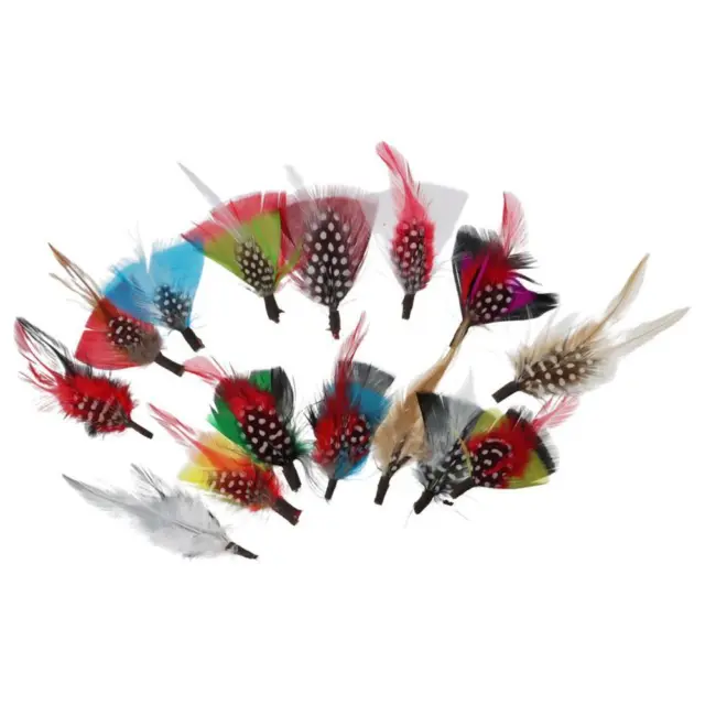 Syhood 20 Pcs Hat Feathers, Assorted Feathers for Hats Colorful Real  Feathers Accessories for Men Women() Multicoloured