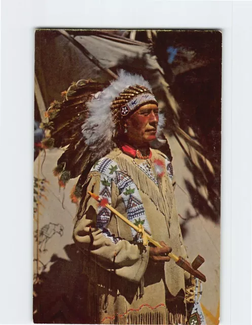 Postcard Chief Running Horse Native American California USA North America