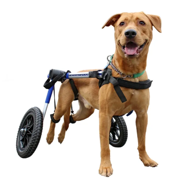 Dog Wheelchair - For Med/Lg Dogs 50-69lbs - By Walkin' Wheels
