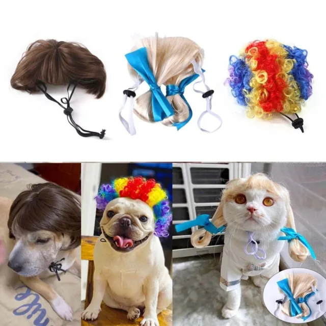 Kostüme, Hunde, Haustierbedarf - PicClick DE