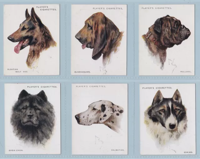 Cigarette Cards - Dogs, by Wardle (John Player & Sons) - Complete Set