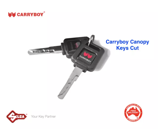 Keys Cut For Carryboy Canopy Locks -PLEASE READ INFO IN LISTING!