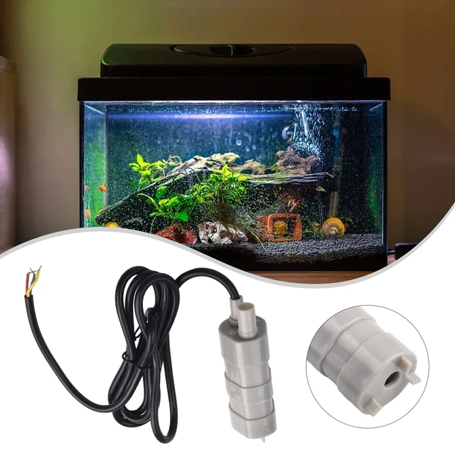 Arrosage Portable Pompe Submersible EXLECO 12V 4200L/H - Vide Cave, Arrosage, Bassin - Portable Avec Câble 2.3m Pompe Lavage Voiture Camping