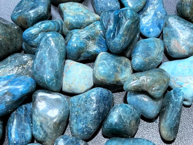 Tumbled Blue Apatite (3 Pcs) Polished Crystal Gemstones Rocks Natural