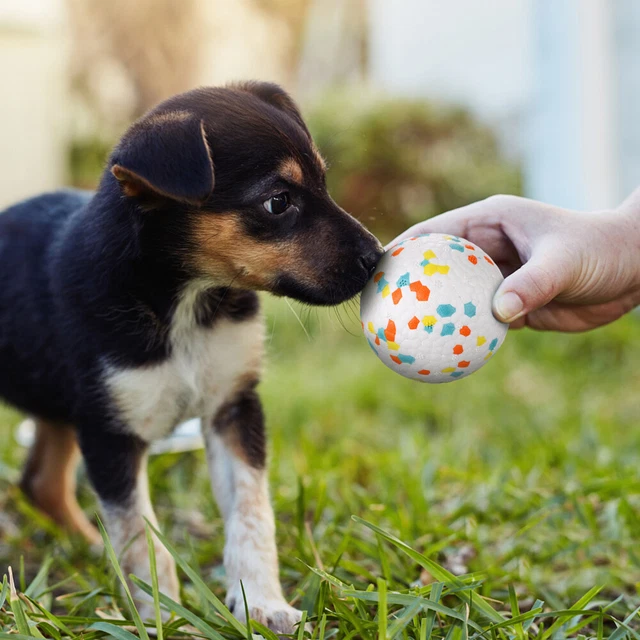 2pcs unzerstörbar interaktive hund spielzeug für welpen hund zahnen 7