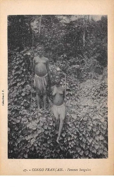 congo fran�ais . n° 51157  . femmes bangalas.beauté