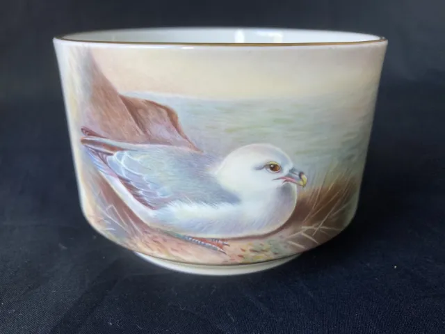 Ex Royal Worcester , Hand Painted Seagull,  Sugar Bowl ,By M.E Morris c1950s