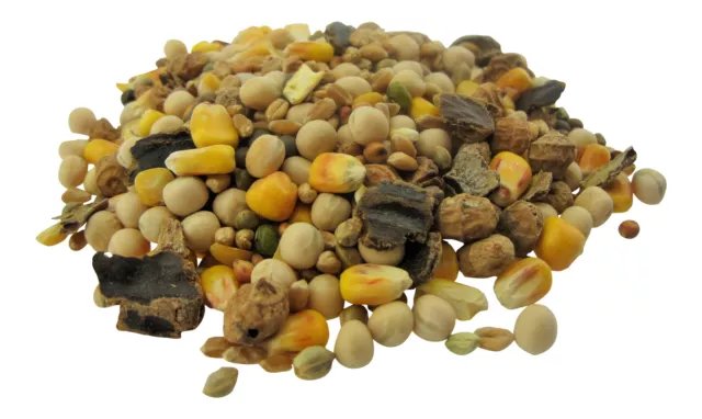 1,80 Eur / KG Grand Carpe Particules Mélange 10Kg Mix de Spodmix