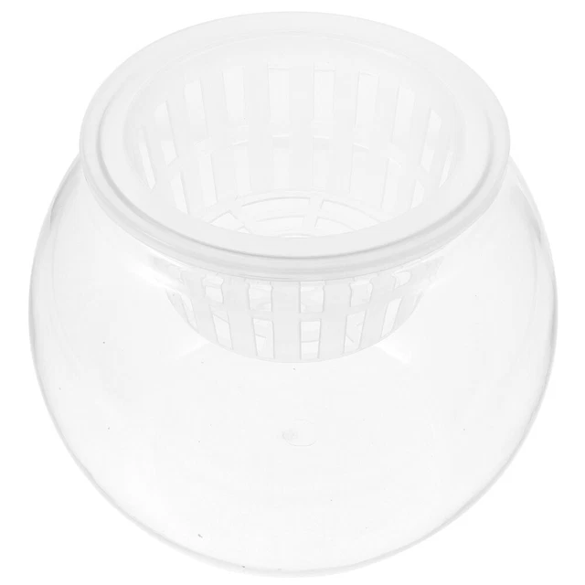 Vaso Ciotola Trasparente Milisten - Per Piante, Terrari O Pesci | Bocca Larga Decorativa - Foto 6