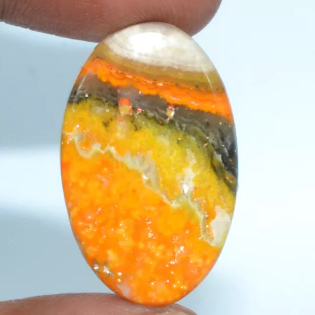 Cts. 20.00 Natural Eclipse Bumble Bee Jasper Cabochon Oval Cab Loose Gemstone