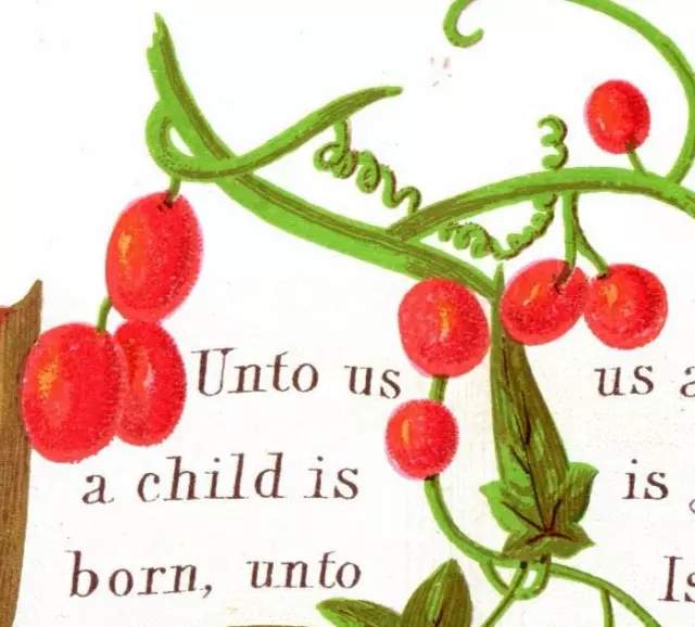 1880s Victorian Best Wishes Of The Season Christmas Card Red Berries Fab! P150
