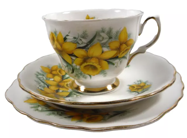 Daffodil Colclough Bone China Made in England 1960's Trio cup saucer plate