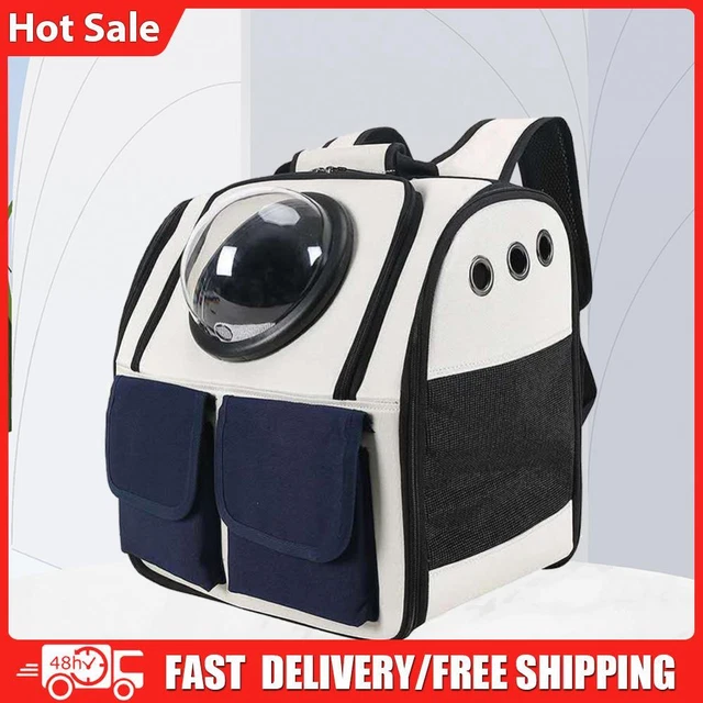 Trovato Nel Regno Unito Il Primo Gatto "neutro": Senza Organi Sessuali Maschili O Femminili 373976746 - Foto 9