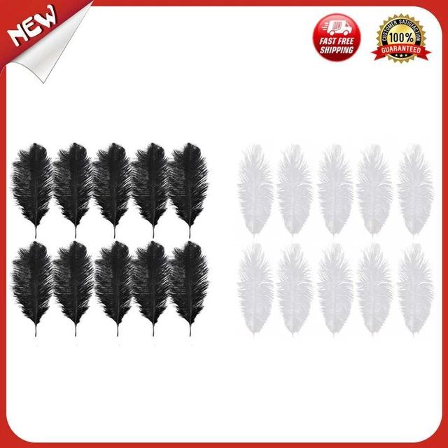 es 10pcs Elegant Fluffy Ostrich Feather Wedding Party Family Room Decoration