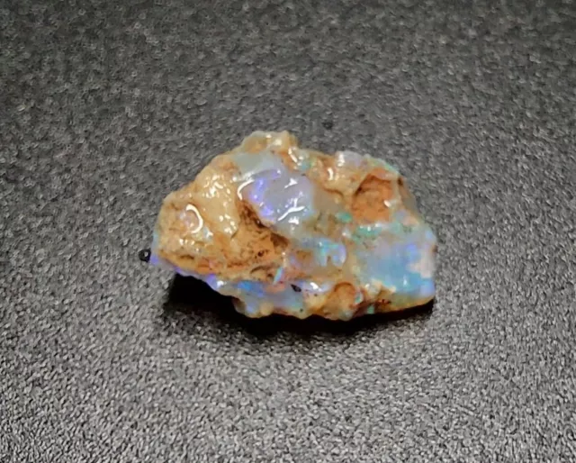 Loose 5.585ct Natural Rough Lightning Ridge Fossil Opal