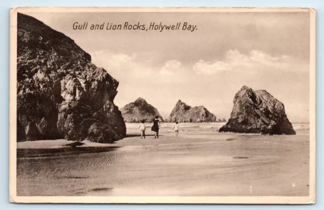 Postkarte Holywell Bay - Möwe Und Löwenfelsen