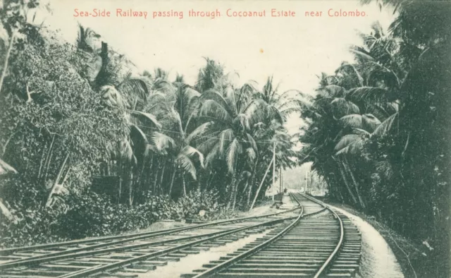 Sea-Side Railway Cocoanut Estate, Colombo. Ceylon. Sri Lanka (Plate & Co.) 1900s