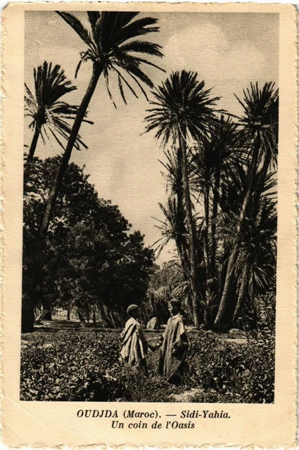 CPA AK MOROC OUDJA - Sid-Yahia. One Corner of the Oasis (219870)