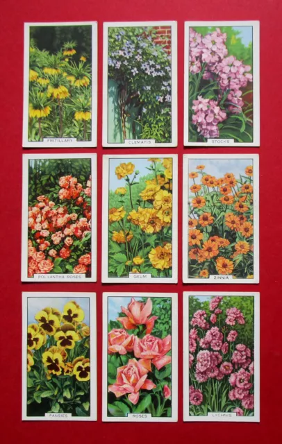 GALLAHER 9 VINTAGE 1938 CIGARETTE CARDS GARDEN FLOWERS  FOR No's  SEE PICTURES