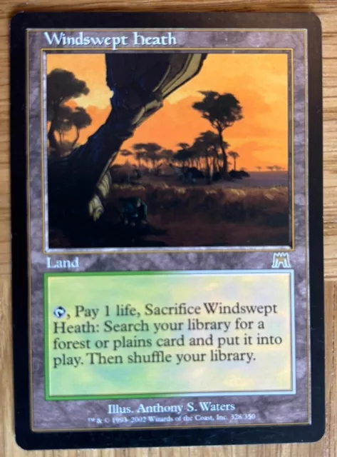 Magic the Gathering - Windswept Heath - Land - Onslaught - NM - MTG