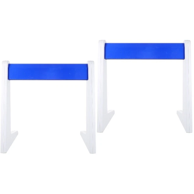 2x Pipette Tip Racks Laboratory Pipettor Rack Linear Micropipette lab pipettor h