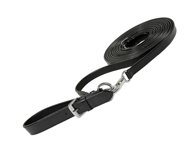 Hackamore Western En Cuir - Coiffe & Boucle D'Entraînement - Occasion Fonctionnelle