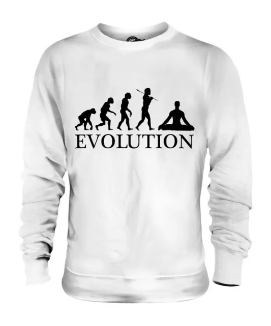 Yoga Evolution Of Man Unisex Sweater Mens Womens Ladies Gift Pilates Clothing