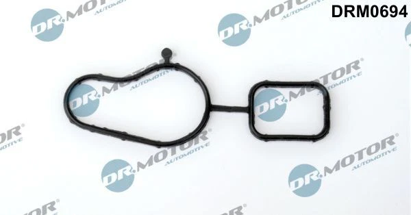 Guarnizione pompa acqua Dr.motor Automotive Drm0694 per Audikoda VW Audi TT 04->