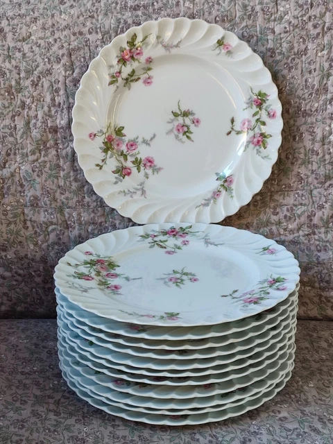 12 Anciennes Assiettes Porcelaine De Limoges Haviland Décor Petites Roses 24 Cm