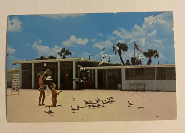 Vintage Postcard ~ St. Petersburg Municipal Beach ~ Treasure Island Florida FL