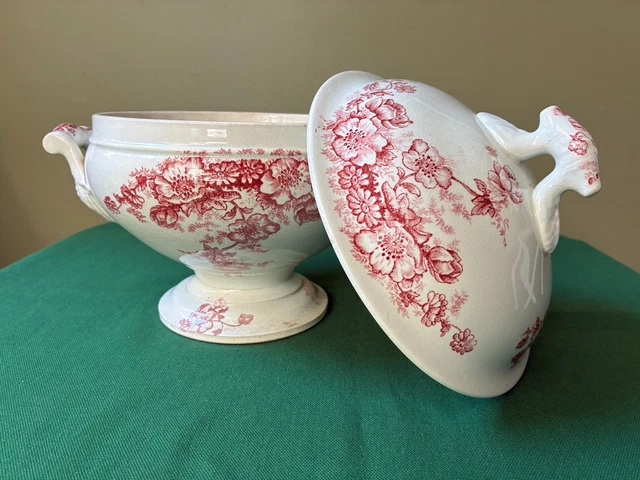 SUPERBE ANCIENNE PAIRE D'assiettes Bertrand Bordeaux Service