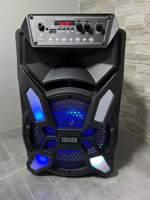 Cassa Acustica Amplificata Trolley Karaoke con Microfono 2000 Watt Bluetooth USB 2