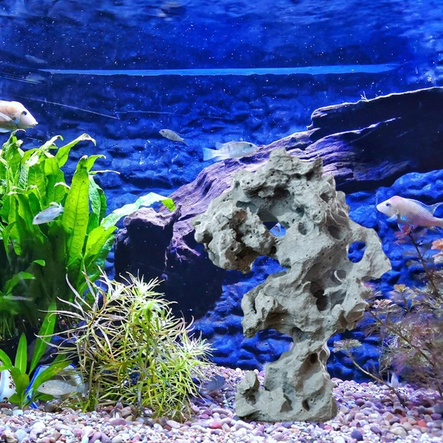 Aquarium Rocks Aquarium Decor Stone Decor Simulation Cave Ornament Layout Hiding