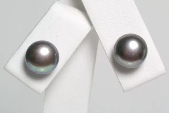 8-8.5mm AAA quality black freshwater pearl & 9 carat white gold earrings