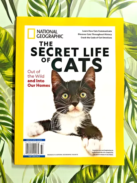 NATIONAL GEOGRAPHIC SPECIAL "THE SECRET LIFE OF CATS" Learn How Your Cat Thinks!