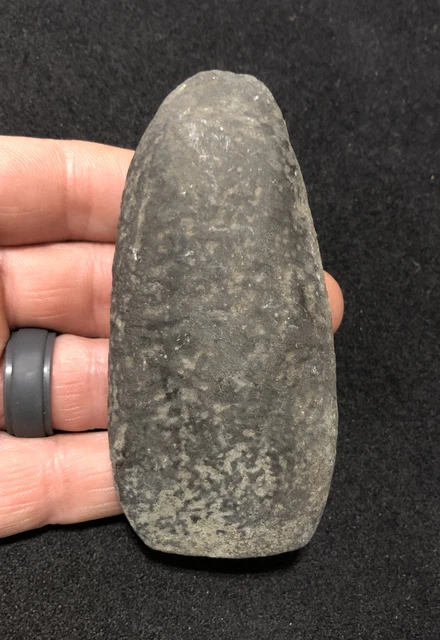 QUALITY HARDSTONE POLE CELT- PA Indian Artifact-NY Arrowhead-BURLINGTON NJ