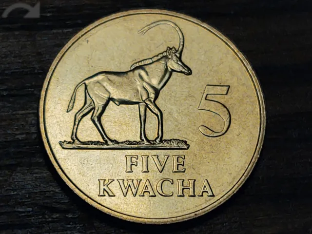 Zambia 1992 UNC 5 Kwacha Coin - Sable Antelope - Free U.S. S/H