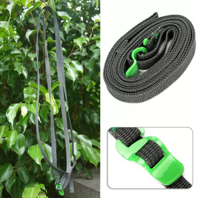 Buckle Zurrgurt Auto Cargo Strap Ratsche Gepäck Zurrgurte (Grün)