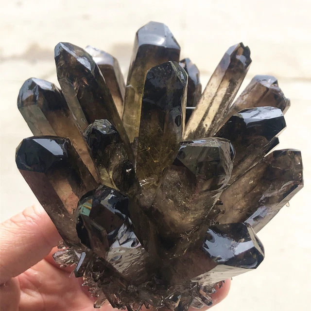 1.33lb New Find Black Phantom Quartz Crystal Cluster Mineral Specimen Healing 5
