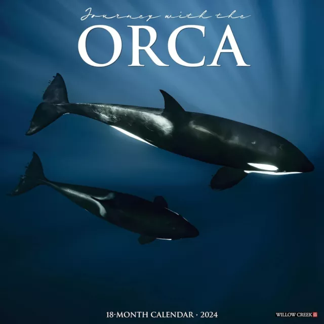 Orca (Viaggio con Il ) - 2024 Calendario da Parete - Nuovo - 34750