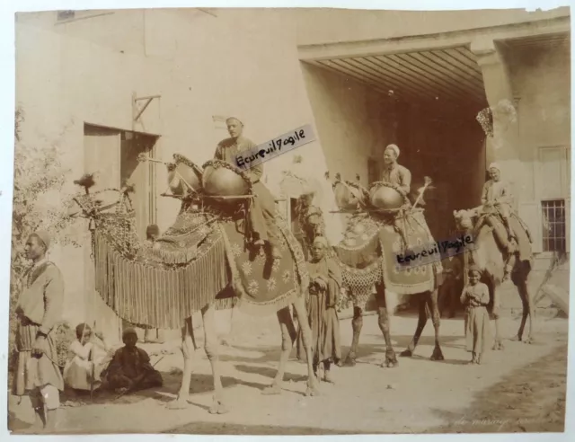 2 GRANDES PHOTOS ZANGAKI chameaux de mariage avec tambours EGYPTE et Port Saïd