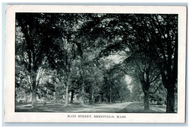 View Of Main Street Tree-lined View Sheffield Massachusetts MA Vintage Postcard