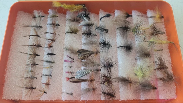 Lot De Leurres De Pêche Arbogast Topwater En Forme De Poisson