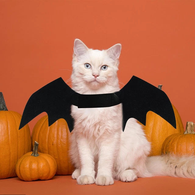Halloween Murciélago Ala Ropa Para Gatos Cachorros Perros Divertido Para Gatito Disfraz Gato G0J3